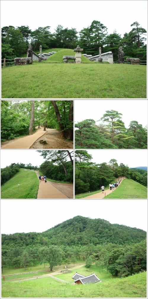 ▲ 장릉 풍경
