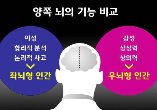 좌뇌와 우뇌를 고르게 발달시키는 전뇌교육이 최근 흐름이다.