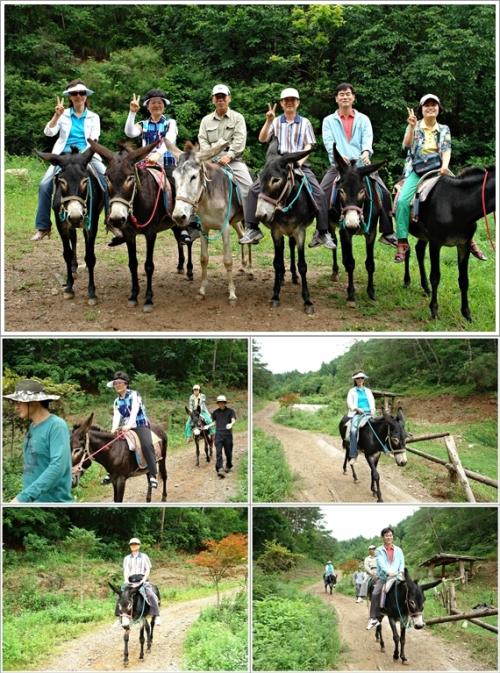 ▲ 당나귀 타면 웃음이 저절로