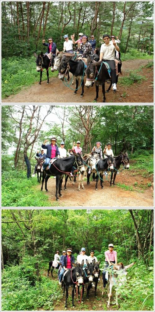 ▲ 당나귀 타고 싱글벙글