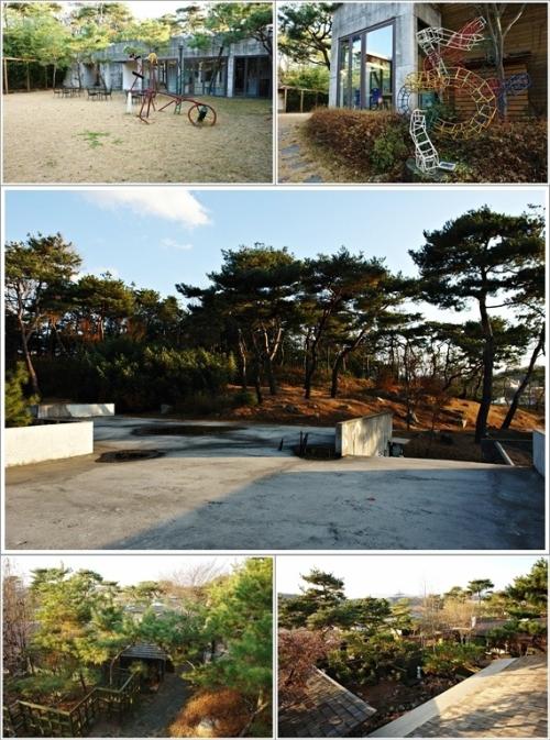 ▲ 정원과 뒷동산 풍경