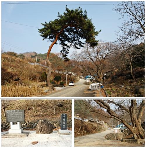 ▲ 불대마을 입구 풍경