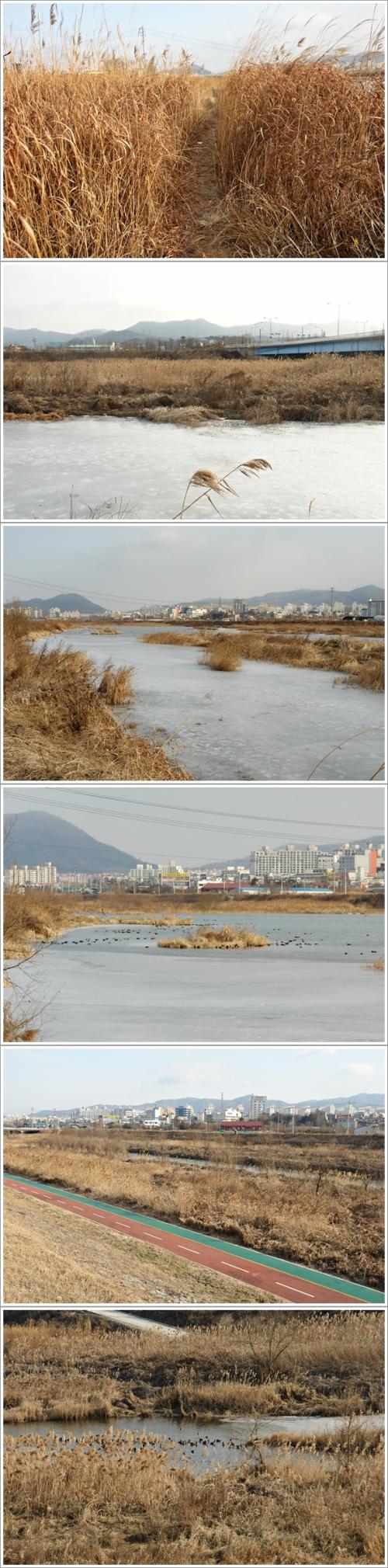▲ 상호 작용을 하며 서서히 변화하는 무심천의 환경 1
