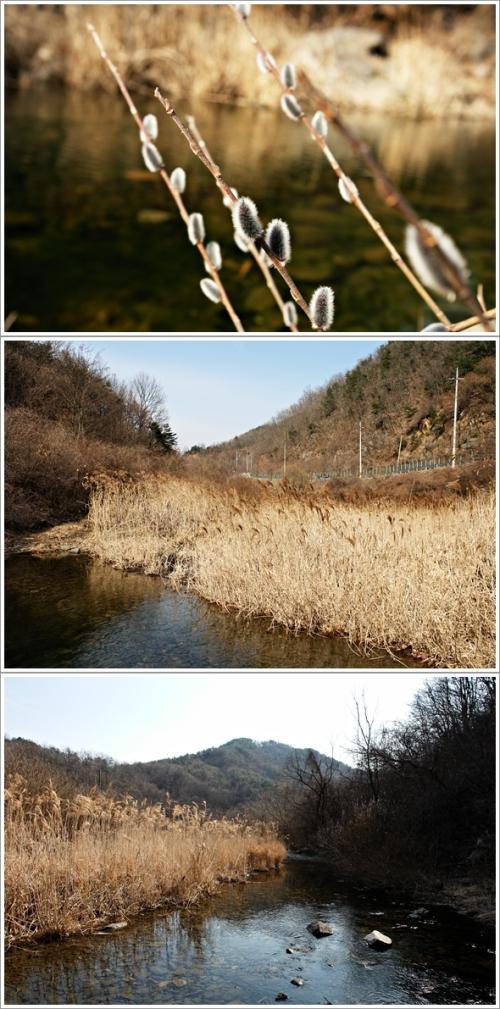 ▲ 묘암천 풍경