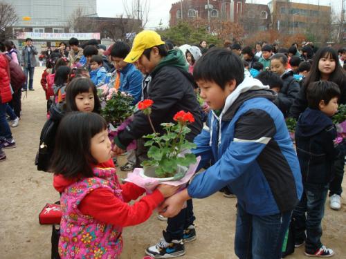 인천 구월서초 1학년 새내기들에게 화분을 전달하고 있는 6학년 선배들.