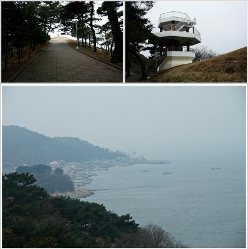 ▲ 전망대와 심포항 풍경