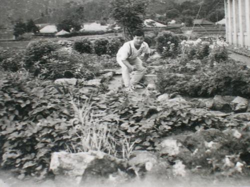 텅빈 학교 운동장 그 교실 4칸에 7학급이 공부하던 교실 앞에 필자가 만든 화단.