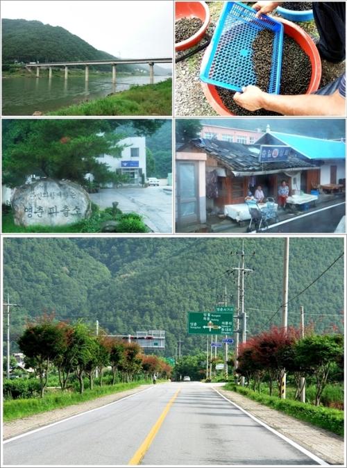 ▲ 군간나루와 영춘면소재지 풍경
