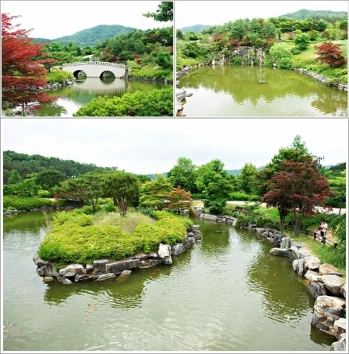 ▲ 연못 풍경