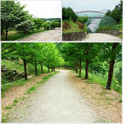 ▲ 수목원 산책길