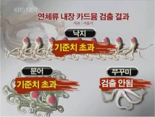 ‘쭈꾸미’는 ‘주꾸미’가 바른 표기다(사진은 2010년 9월 13일 KBS 9시 뉴스 장면).