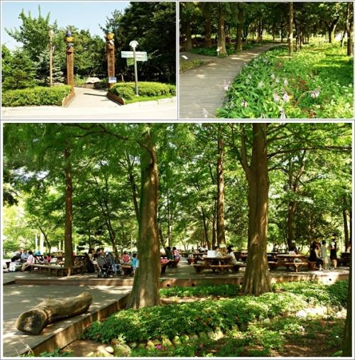 ▲ 수목원 입구와 쉼터 풍경