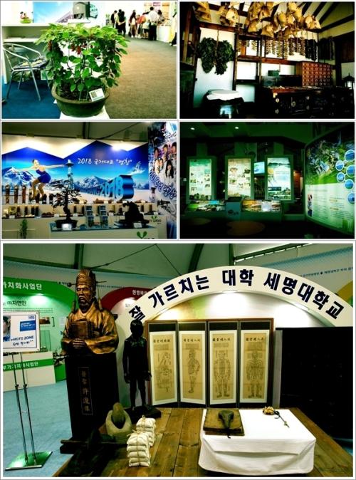 ▲ 세계전통의학관, 산업관, 명문한방병원관