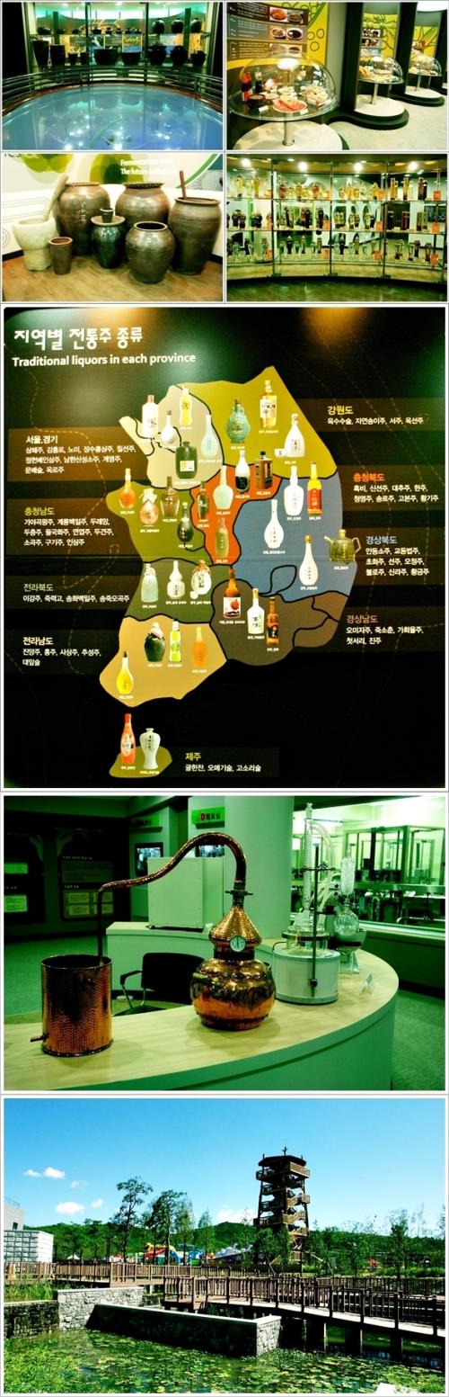 ▲ 국제발효박물관과 전망대