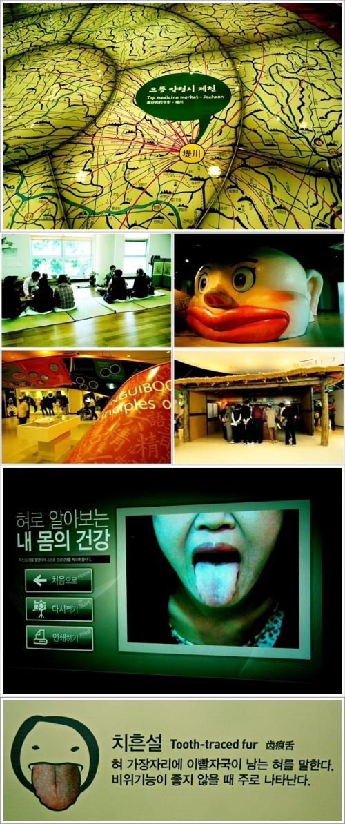 ▲ 한방생명과학관 내부 풍경