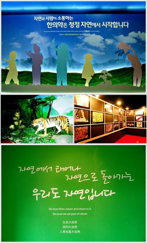 ▲ 약초탐구관