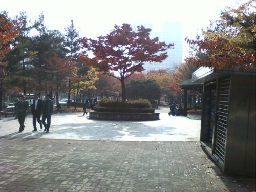 숲 공원은 주변 직장인들에게 좋은 휴식처이자 운동을 할 수 있는 공간이다.