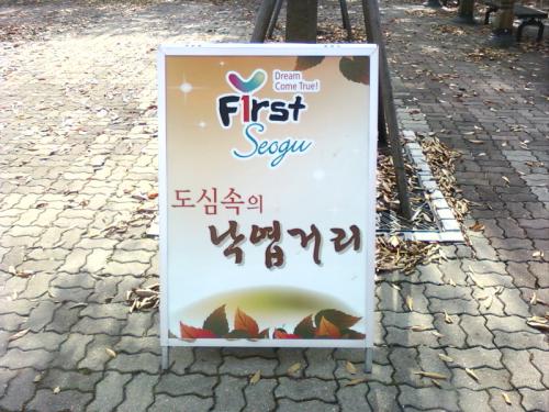 인근 대전 서구청에서 조성한 낙엽거리.