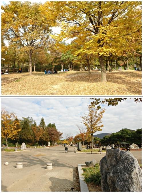 ▲ 수목원 입구의 숲과 수석원