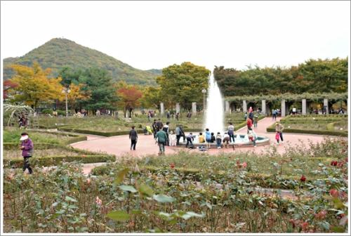 ▲ 장미원과 분수
