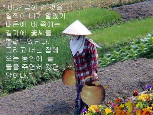 '금이 간 항아리와 온전한 항아리' PPT의 한 장면