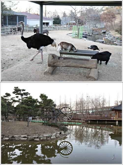 ▲ 야생동물원과 연못 풍경