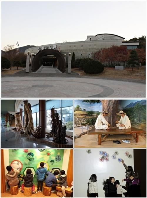 ▲ 산림박물관