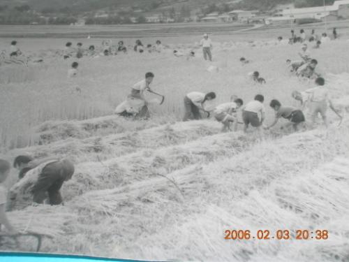 작업광경