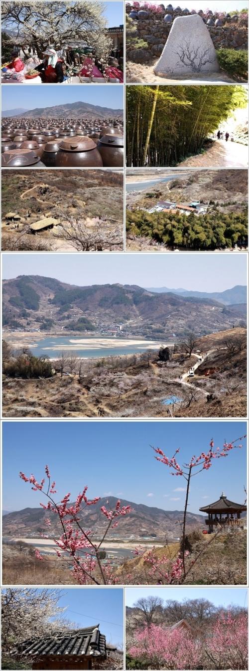 ▲ 청매실농원 풍경