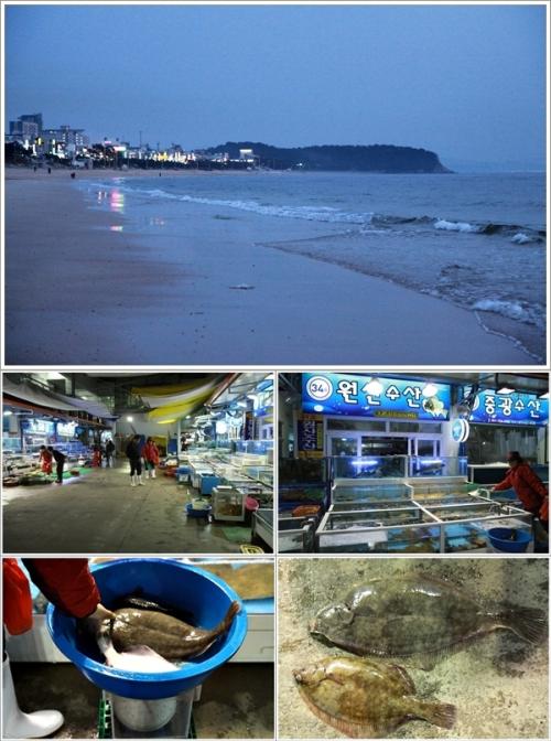 ▲ 대천해수욕장과 대천항의 밤 풍경