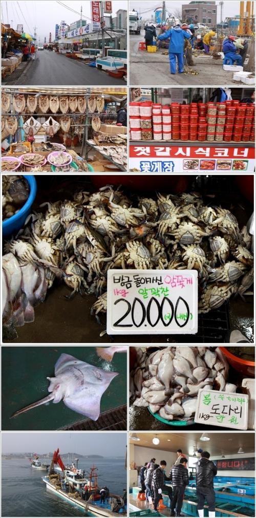 ▲ 백사장포구 풍경