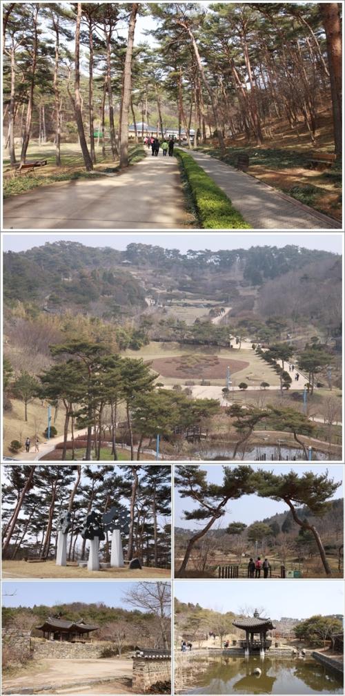 ▲ 안면도자연휴양림과 수목원