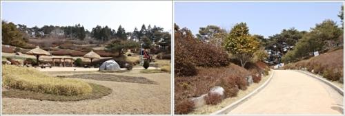 ▲ 지피원과 철쭉원, 수목원 산책로