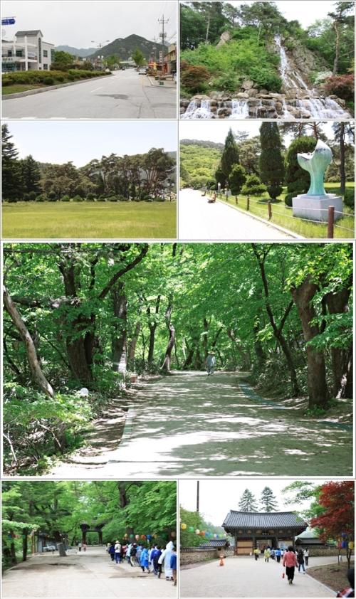 ▲ 주차장에서 법주사까지