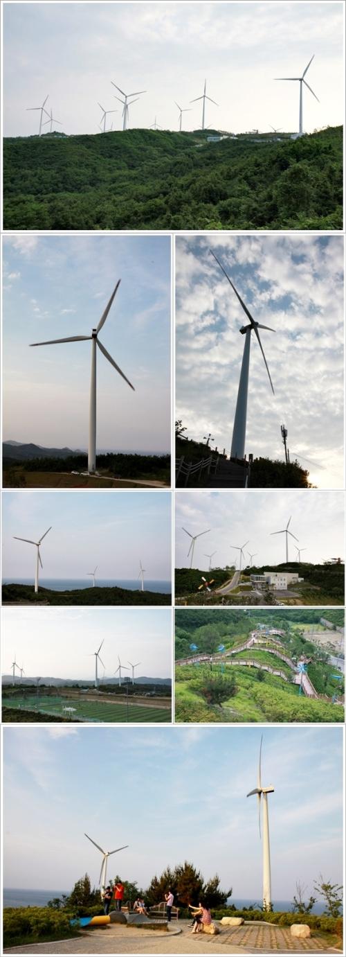 ▲ 영덕풍력발전단지