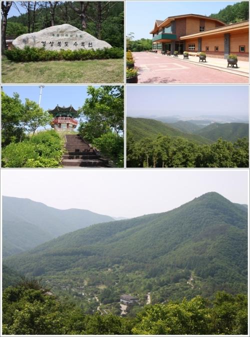 ▲ 경상북도수목원