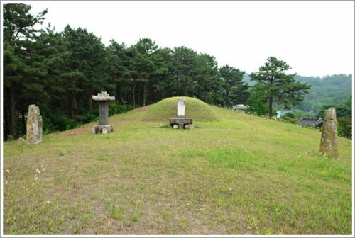 ▲ '충암 김정'의 묘