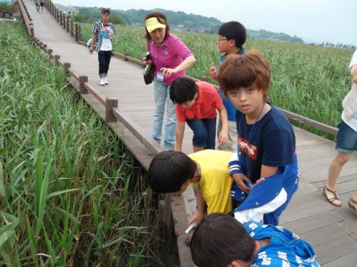 학부모가 해설하는 현장 체험학습(순천만)현장체험학습(순천만)
