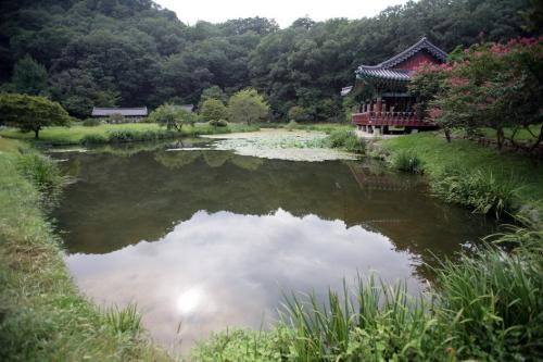 불영사의 연못