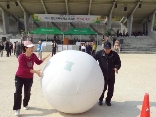 청백대항 경기로 초등학교 시절로 되돌아간 원로동문들의 '큰공 굴리기'