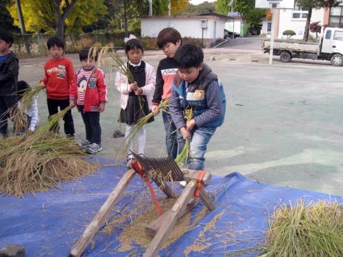 홀테로 탈곡하기