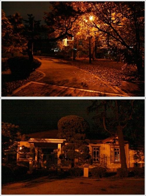 ▲ 가을 분위기가 물씬 풍기는 충북문화관(옛 도지사 관사)이 시민들에게 문을 활짝 열었다.