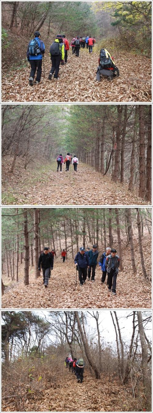 ▲ 수북이 쌓여있는 낙엽들이 '바스락 바스락' 소리를 내며 운치를 더하는 산길