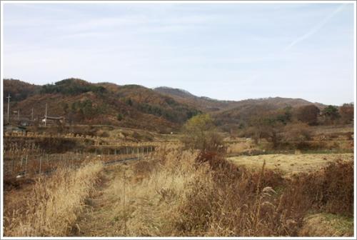 ▲ 화창리 경로당에서 바라본 인경산