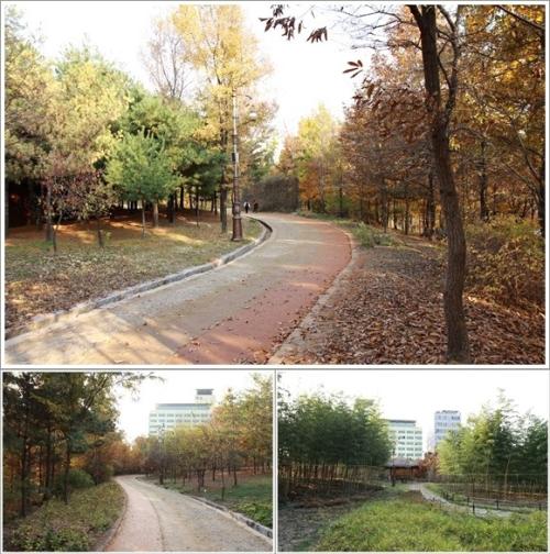 ▲ 서원의 산책로