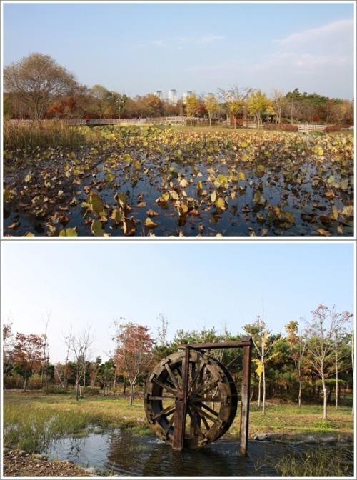 ▲ 습지원과 물레방아