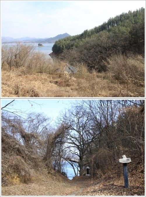 ▲ 대청호반의 정자와 곡계고개의 상수리나무