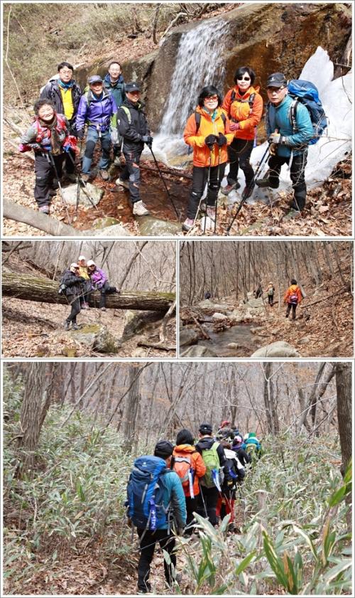 ▲ 폭포를 만나고 산죽 사이를 걸으며
