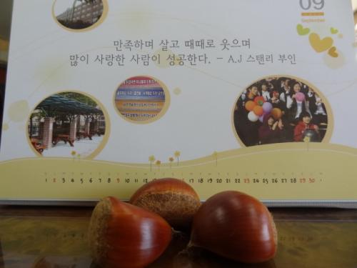 허전한 마음을 달래려고 밤나무 아래에 가보았다. 밤송이 하나에 토실한 알밤 3개가 나온다. 교장실 책상위에 놓았다.