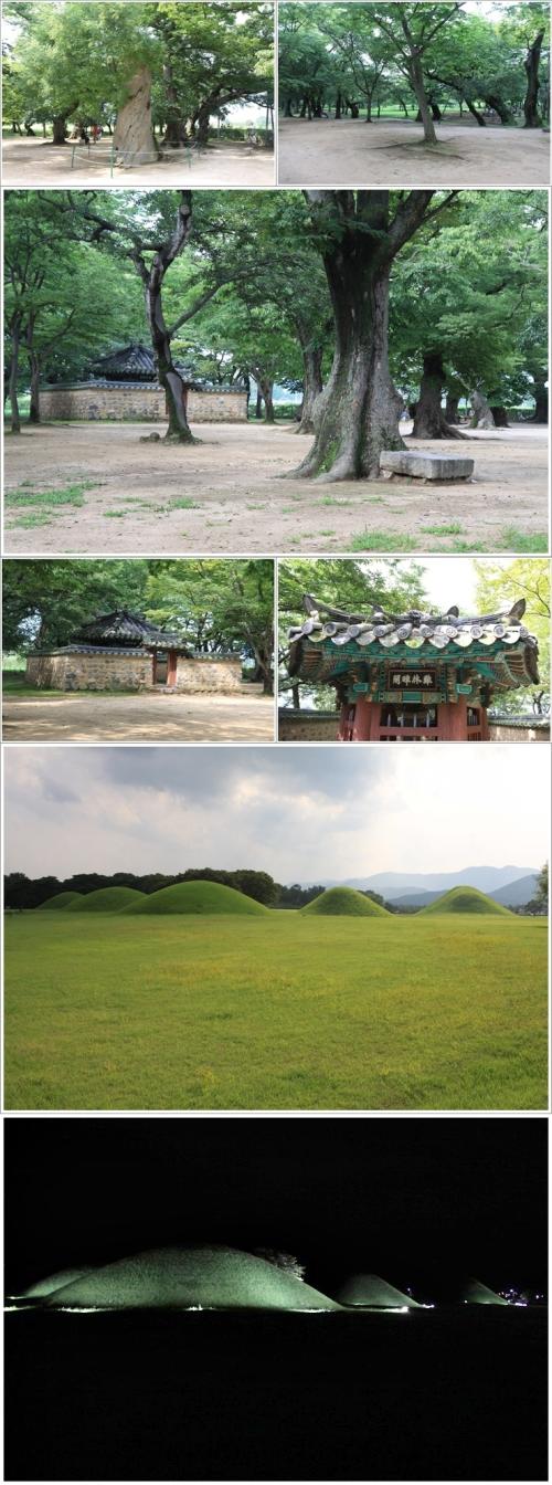 ▲ 계림과 동부사적지대